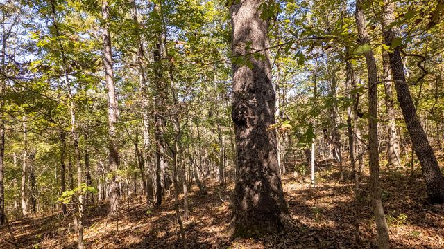 16051 Forrest Drive, Houston, MO 65483