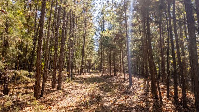 16051 Forrest Drive, Houston, MO 65483