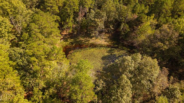 16051 Forrest Drive, Houston, MO 65483