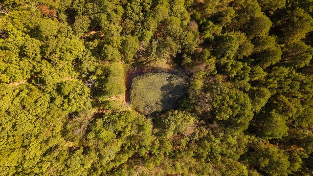 16051 Forrest Drive, Houston, MO 65483