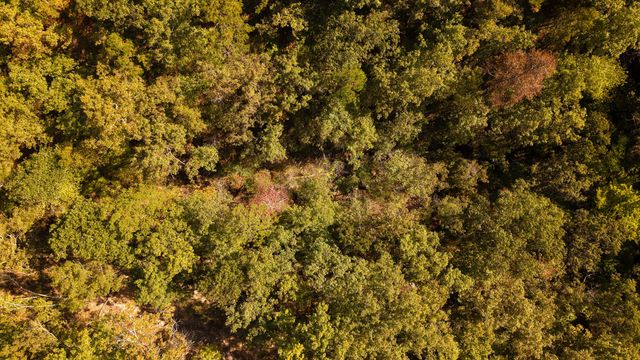 16051 Forrest Drive, Houston, MO 65483