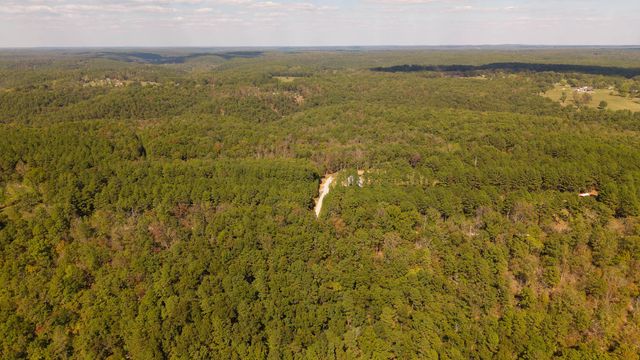 16051 Forrest Drive, Houston, MO 65483