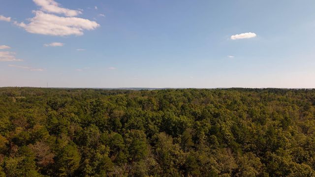 16051 Forrest Drive, Houston, MO 65483