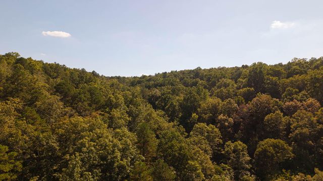 16051 Forrest Drive, Houston, MO 65483