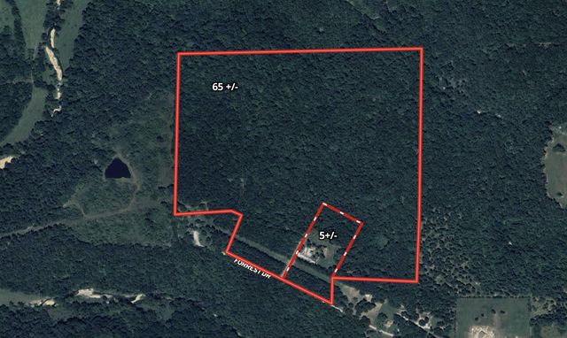 16051 Forrest Drive, Houston, MO 65483