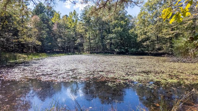 16051 Forrest Drive, Houston, MO 65483