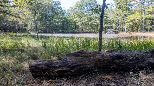 16051 Forrest Drive, Houston, MO 65483