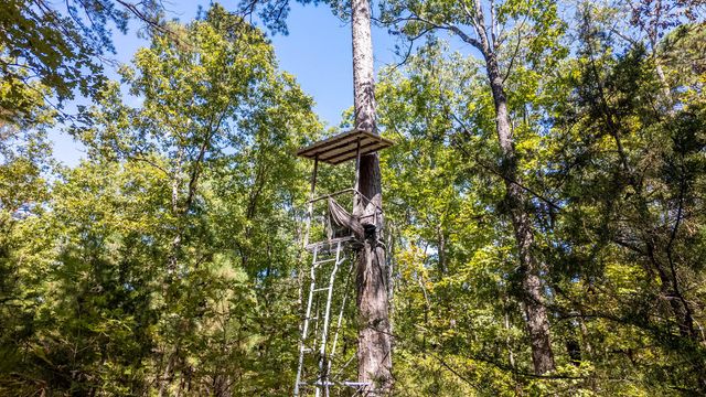 16051 Forrest Drive, Houston, MO 65483