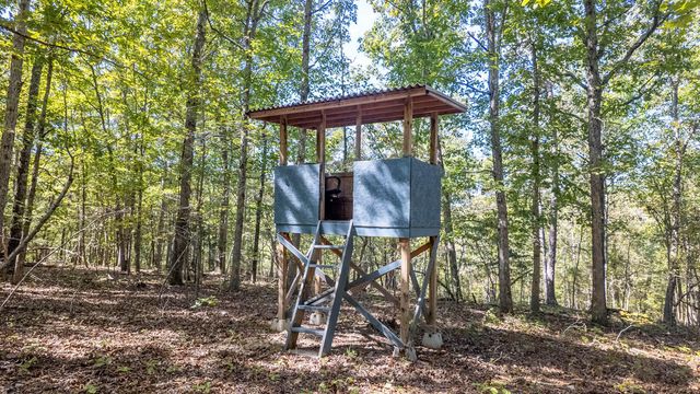 16051 Forrest Drive, Houston, MO 65483