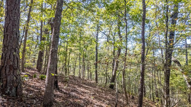 16051 Forrest Drive, Houston, MO 65483