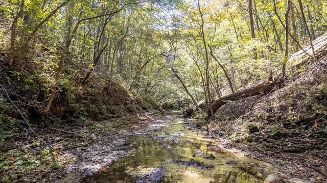 16051 Forrest Drive, Houston, MO 65483