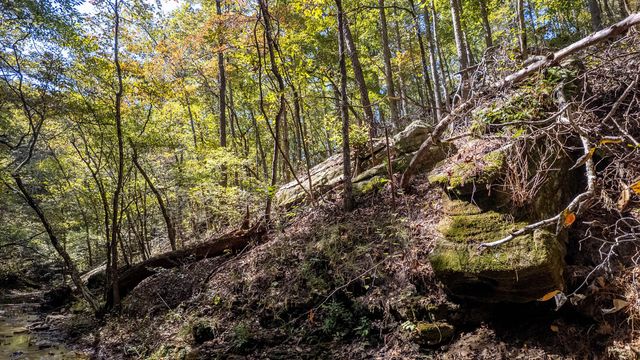 16051 Forrest Drive, Houston, MO 65483