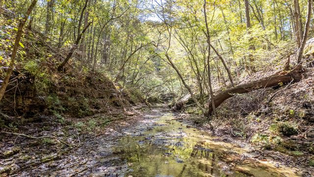 16051 Forrest Drive, Houston, MO 65483