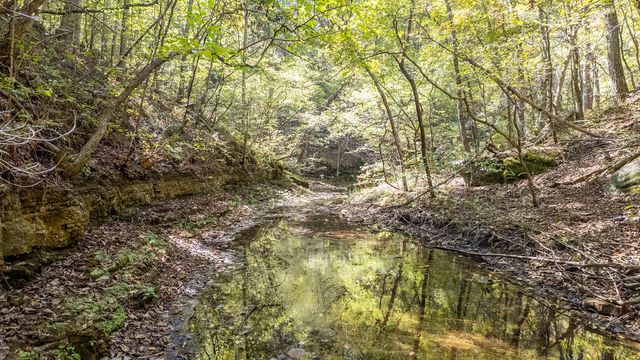 16051 Forrest Drive, Houston, MO 65483