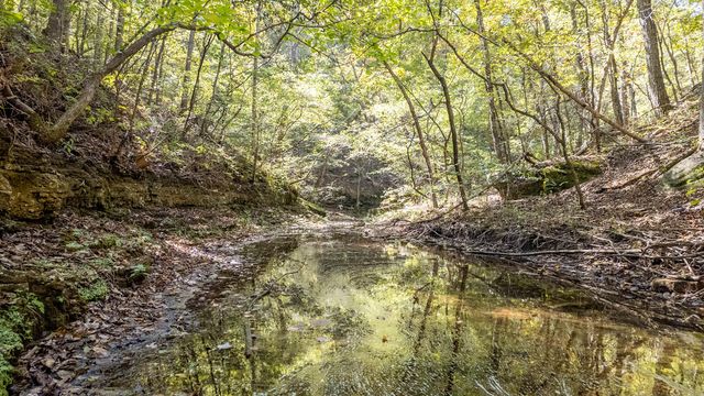 16051 Forrest Drive, Houston, MO 65483