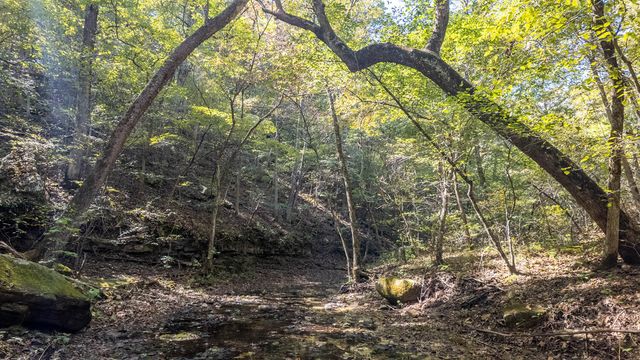 16051 Forrest Drive, Houston, MO 65483