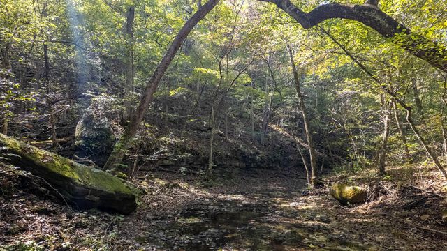 16051 Forrest Drive, Houston, MO 65483