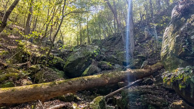 16051 Forrest Drive, Houston, MO 65483