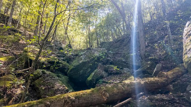 16051 Forrest Drive, Houston, MO 65483