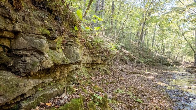 16051 Forrest Drive, Houston, MO 65483