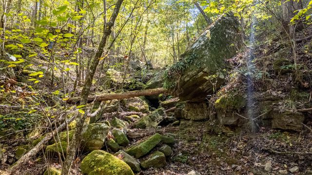 16051 Forrest Drive, Houston, MO 65483