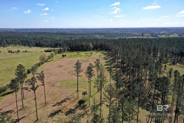 31952 County Road 64 Extension, Robertsdale, AL 36567