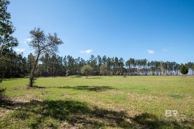 31952 County Road 64 Extension, Robertsdale, AL 36567