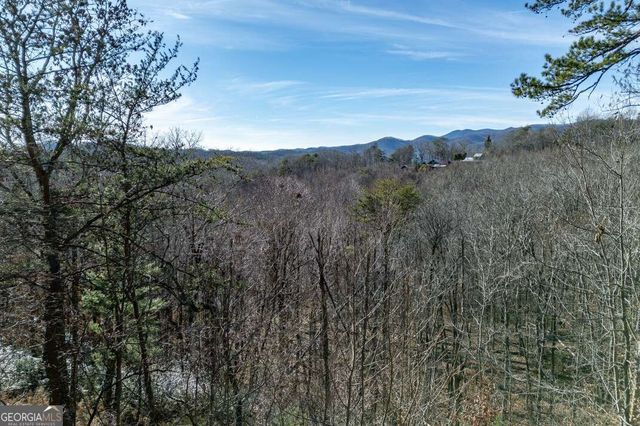 100 Smith Hill Road, Cherry Log, GA 30522