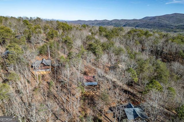 100 Smith Hill Road, Cherry Log, GA 30522