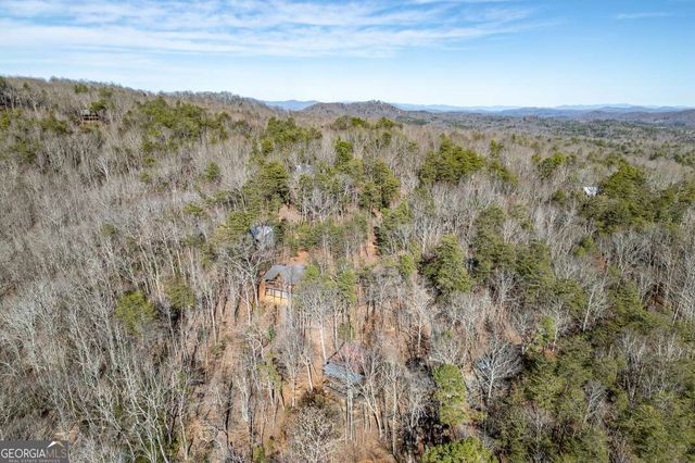100 Smith Hill Road, Cherry Log, GA 30522