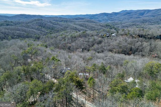 100 Smith Hill Road, Cherry Log, GA 30522