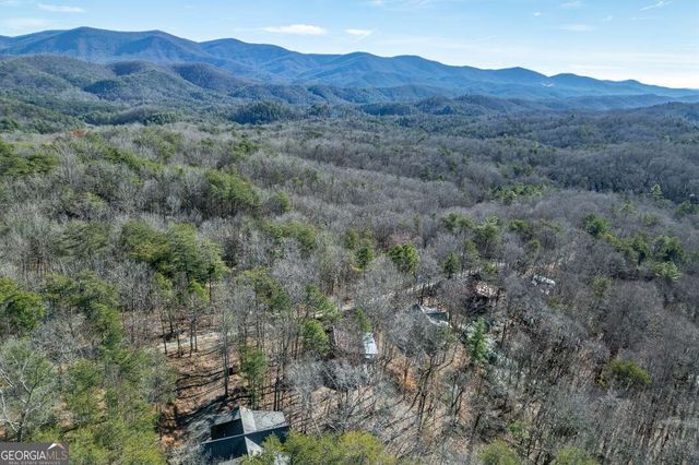 100 Smith Hill Road, Cherry Log, GA 30522
