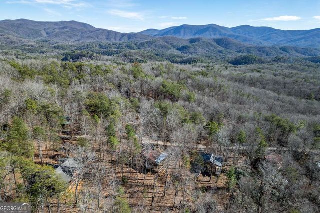 100 Smith Hill Road, Cherry Log, GA 30522