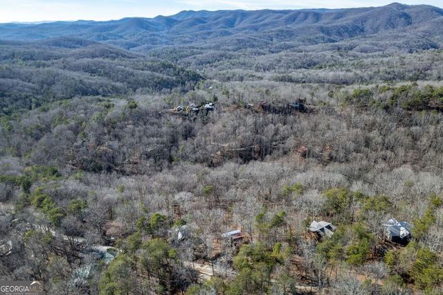 100 Smith Hill Road, Cherry Log, GA 30522