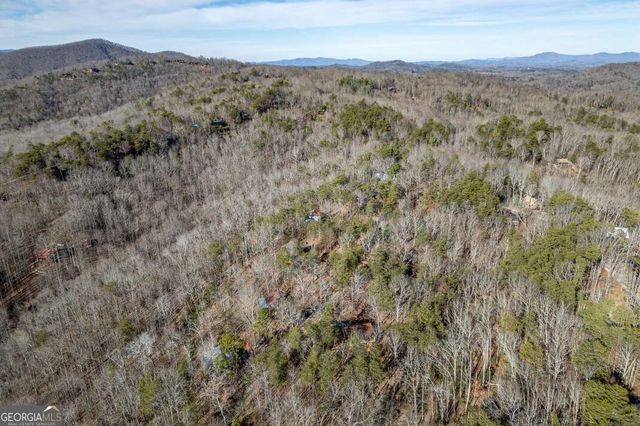 100 Smith Hill Road, Cherry Log, GA 30522