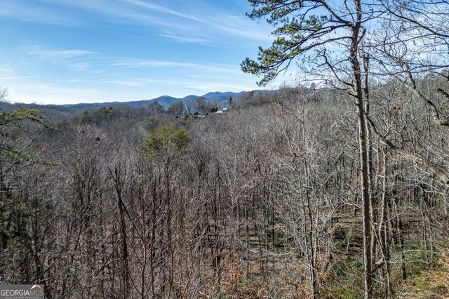 100 Smith Hill Road, Cherry Log, GA 30522