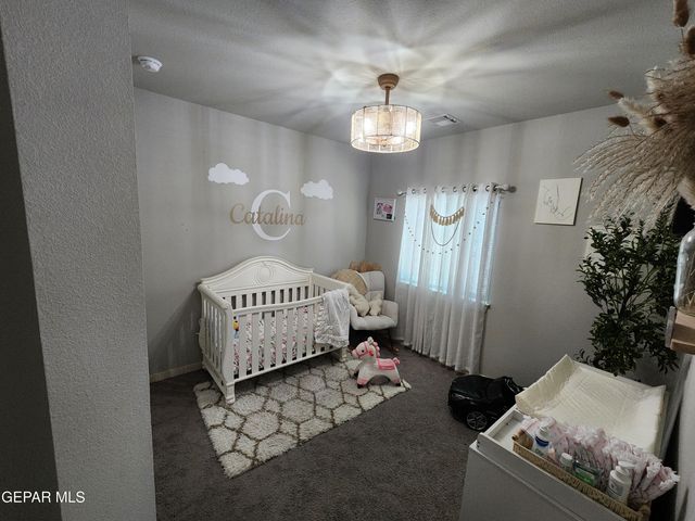 10113 Christmas Cactus Place, Socorro, TX 79927
