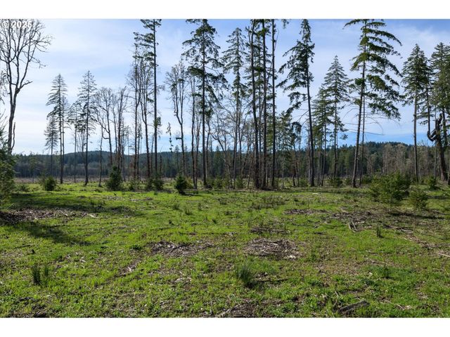 Suttle Rd Lot 4, Veneta, OR 97487