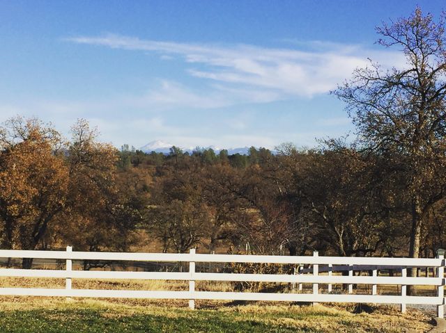 10190 Oak Run Road, Millville, CA 96069