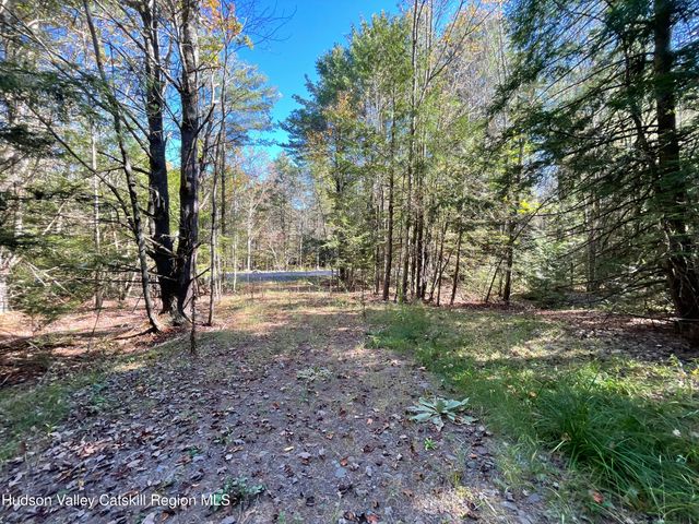 511 Campbell Road, Ashland, NY 12407