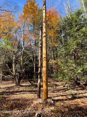 511 Campbell Road, Ashland, NY 12407