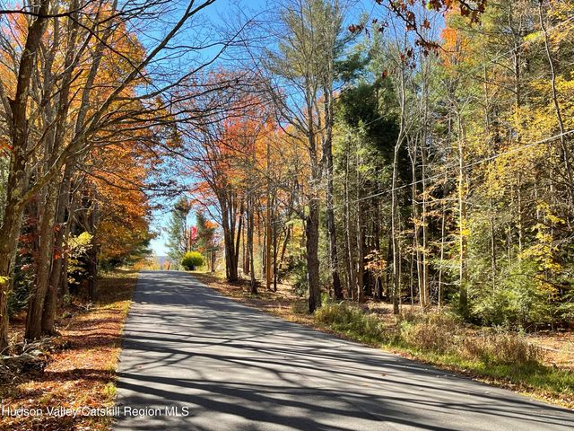 511 Campbell Road, Ashland, NY 12407