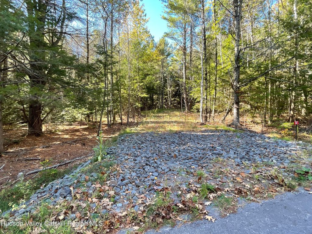 511 Campbell Road, Ashland, NY 12407