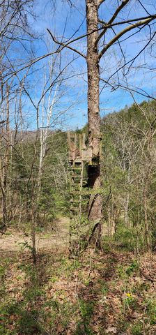 950 Chapman Hollow Rd, Dowelltown, TN 37059