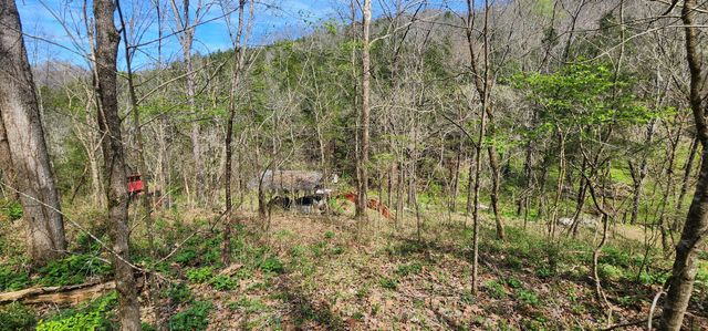 950 Chapman Hollow Rd, Dowelltown, TN 37059