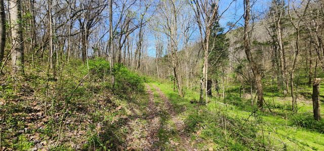 950 Chapman Hollow Rd, Dowelltown, TN 37059