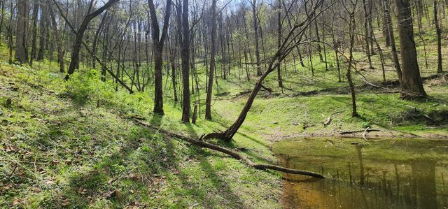 950 Chapman Hollow Rd, Dowelltown, TN 37059