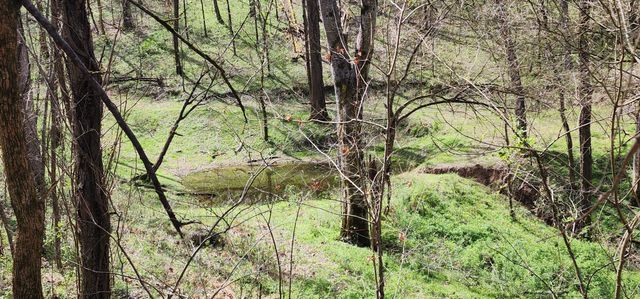 950 Chapman Hollow Rd, Dowelltown, TN 37059