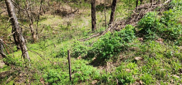 950 Chapman Hollow Rd, Dowelltown, TN 37059