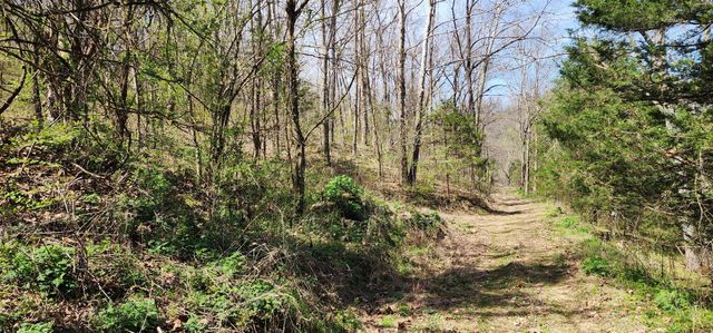 950 Chapman Hollow Rd, Dowelltown, TN 37059